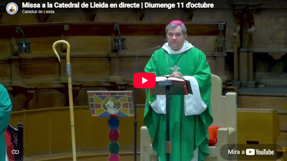 missa catedral