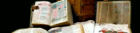 lectura diaria